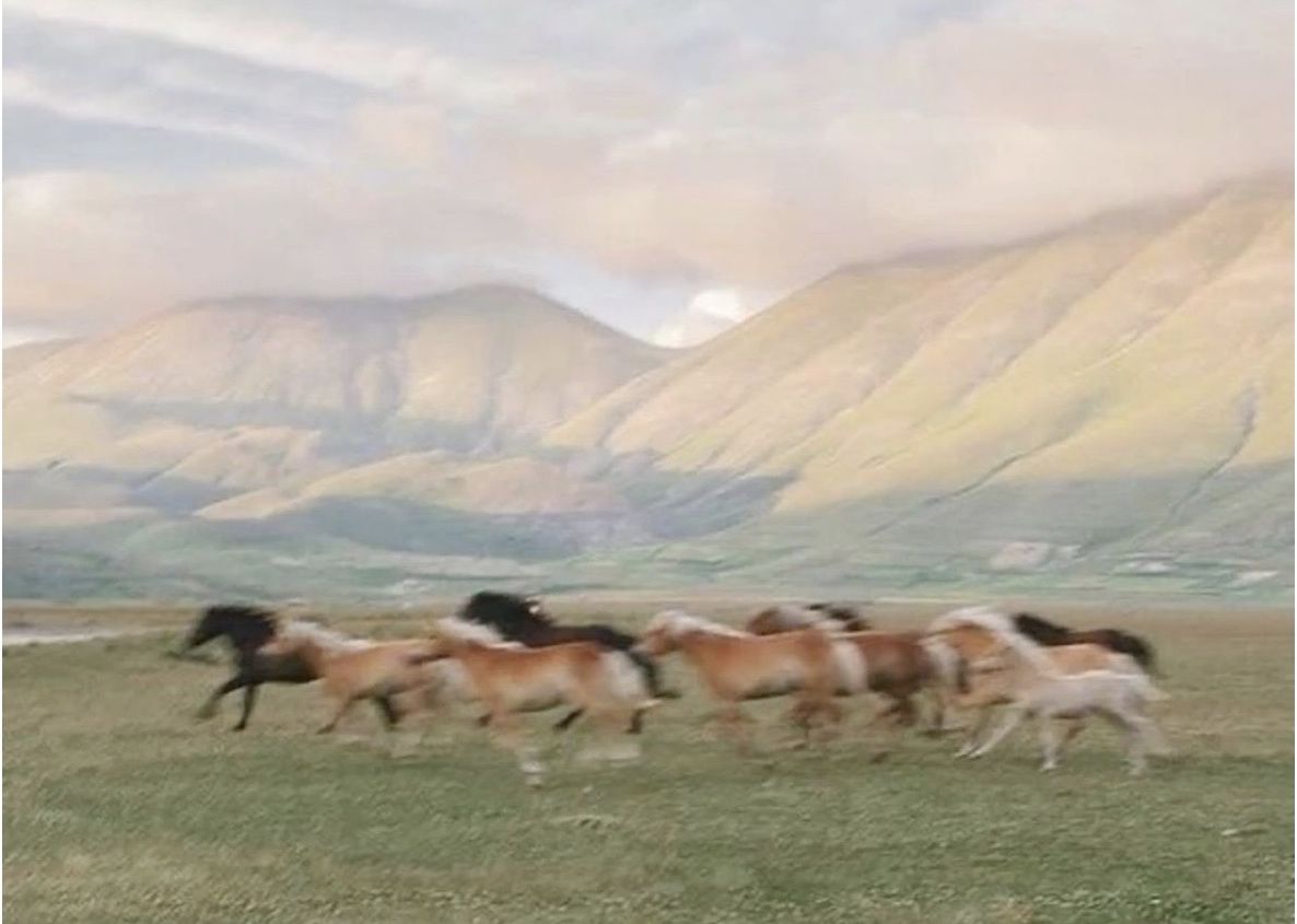 Horses running across open land beneath mountains